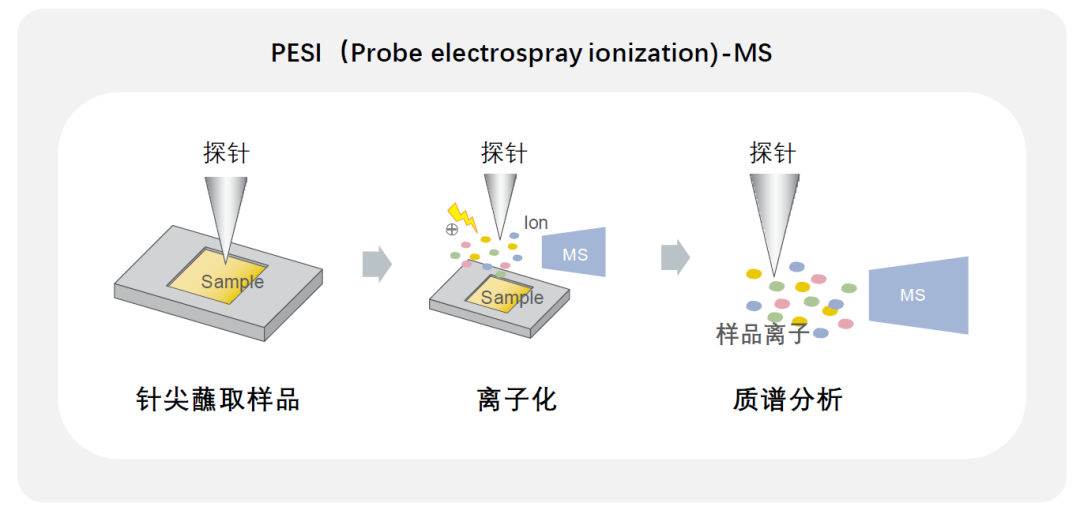 1642382970818470.png 5.png