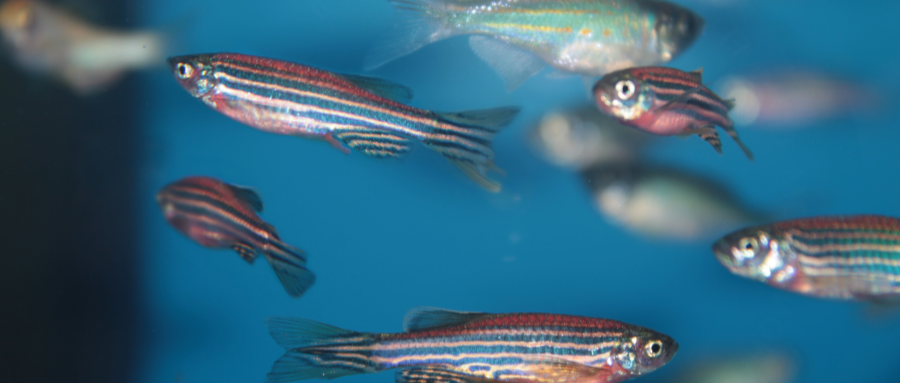 1643248450256141.png 2.png