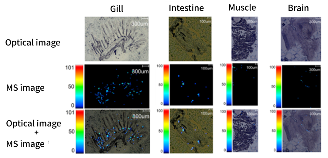 1643248516950818.png 5.png