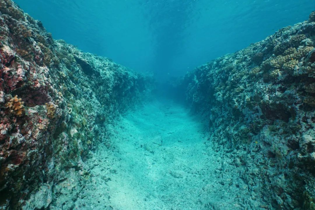 1644542681656745.jpg 3.jpg