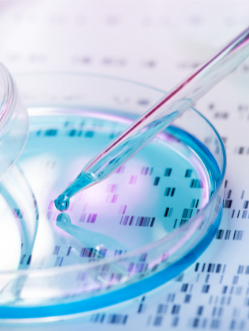 1645146859236480.png 4.png