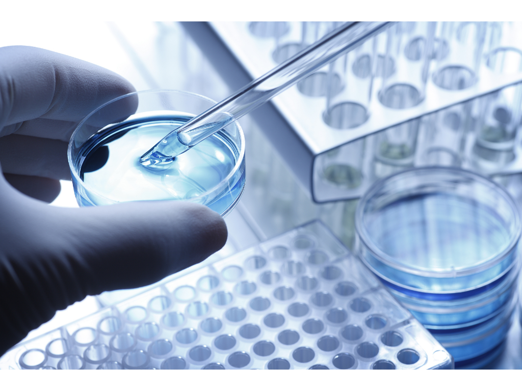 1645491794443211.png 2.png