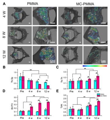 1645668663228270.png 4.png