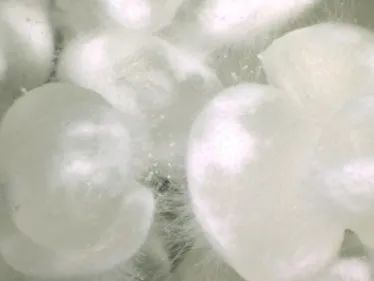 1645751275305503.jpg 2.jpg