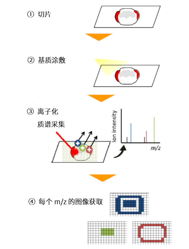 1645751321644137.png 4.png