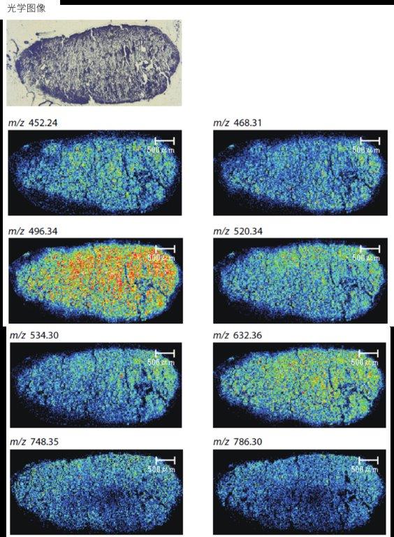 1645751508873474.jpg 8.jpg