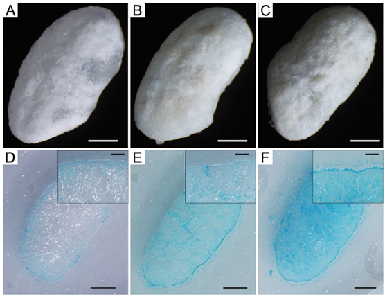 1645751550578971.png 9.png