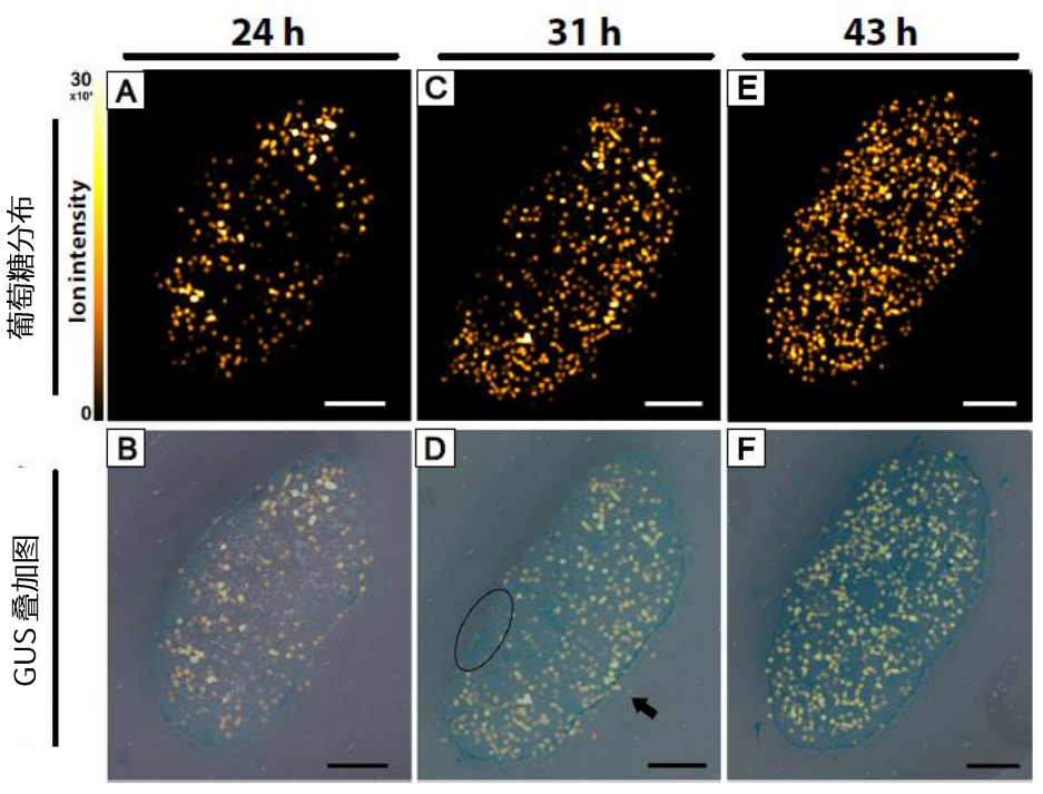 1645751600707809.png 11.png