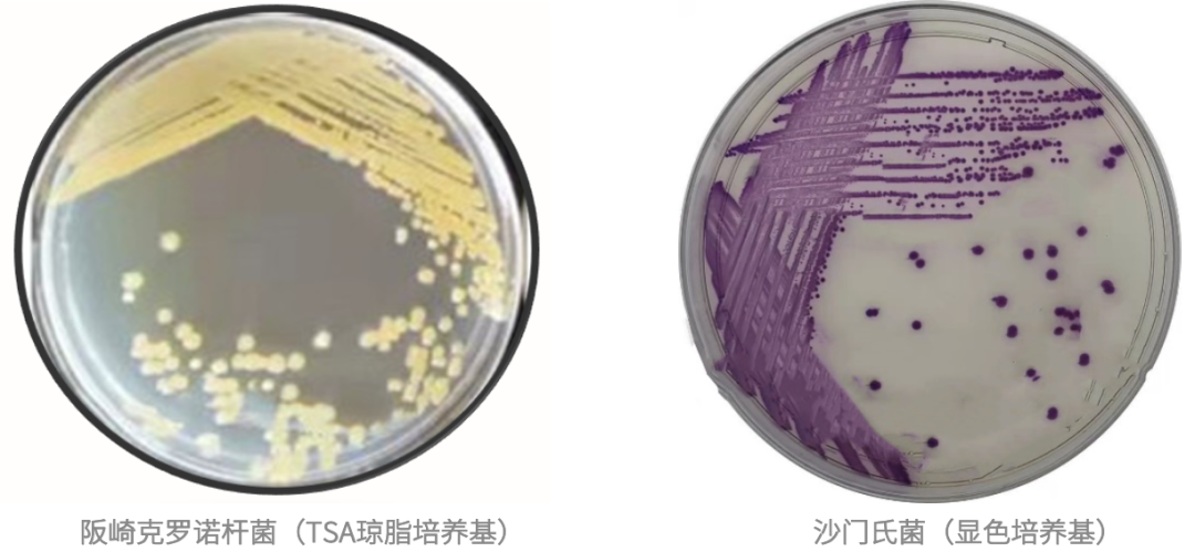 1646788818725916.png 2.png