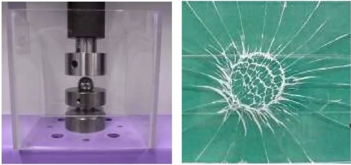 1647911669918176.jpg 7.JPG