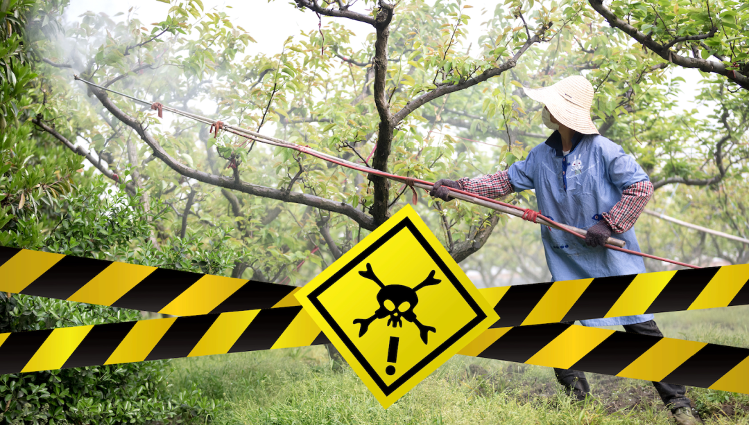 1648430391940695.png 5.png