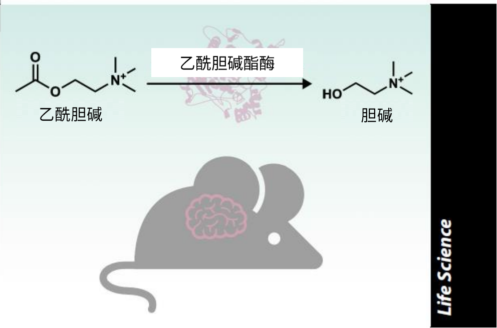 1648691930955991.png 2.png