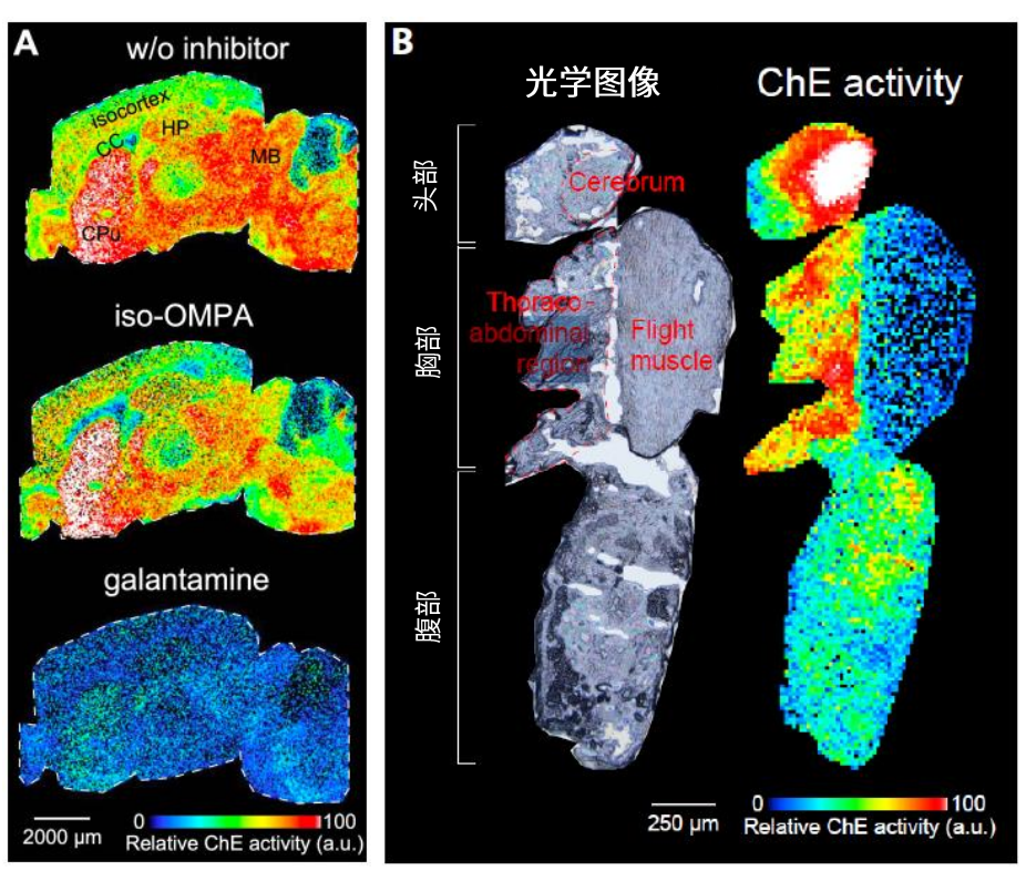 1648692114856408.png 9.png