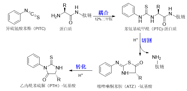 1650337202638552.png 4.png