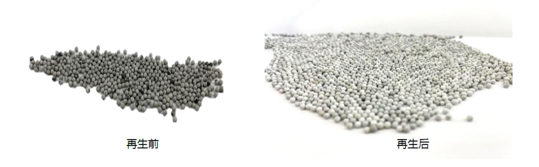 1650595827721431.jpg 8-1.jpg