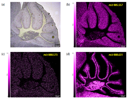 1651197710983475.jpg 5-1.jpg