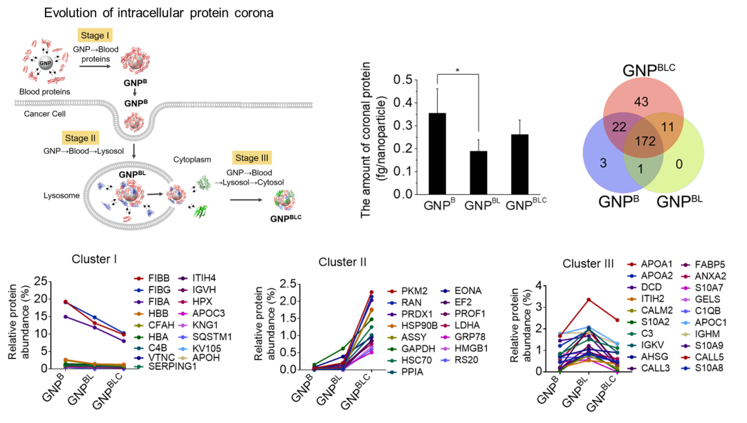 1657681064463435.png 2.png