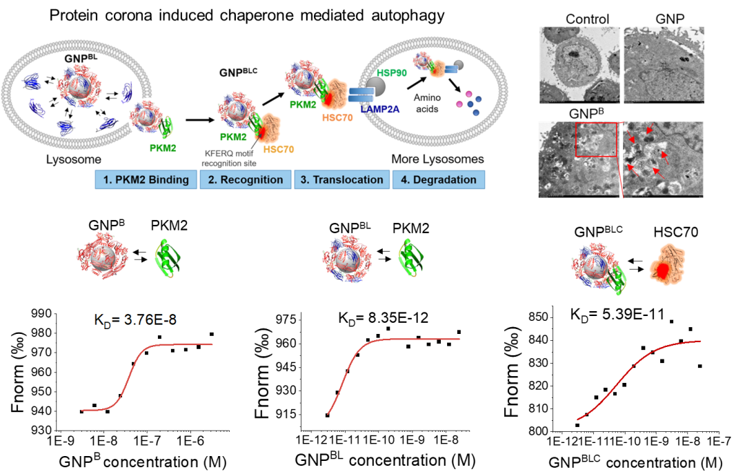 1657681074133205.png 3.png