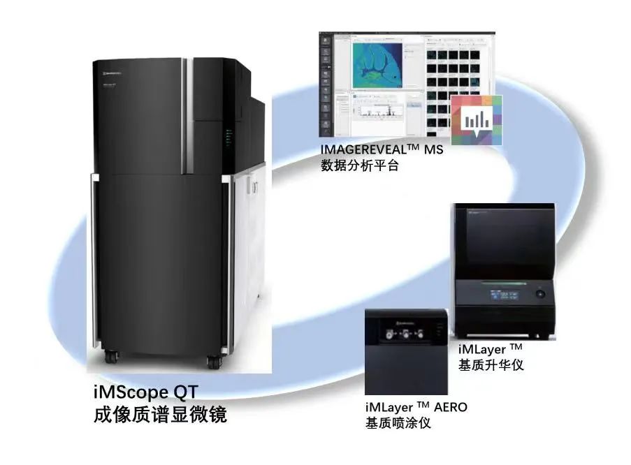 1657681092903355.jpg 5.jpg