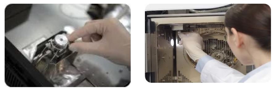 1657762495656714.jpg 11.jpg