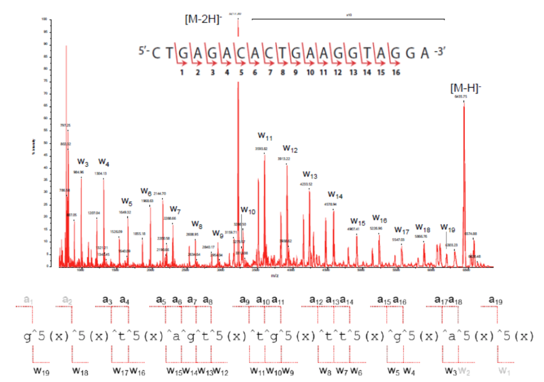 1658713999667683.png 8.png