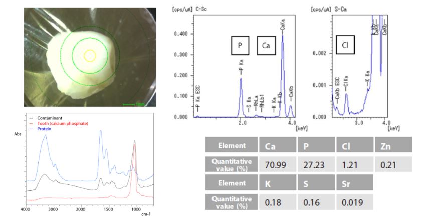 1661484061422368.jpg 9.JPG