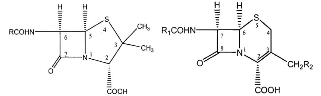 1662000059128409.png 3.png