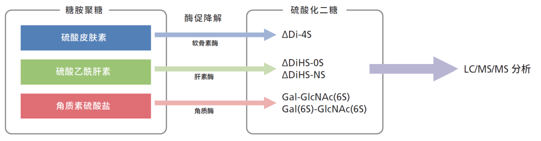 1664155164605702.png 4.png