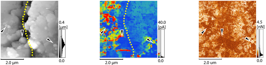 1664246883438799.png 4.png