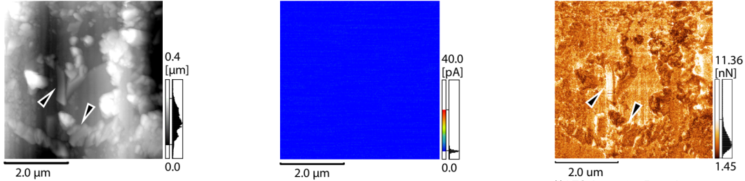 1664246894317106.png 5.png