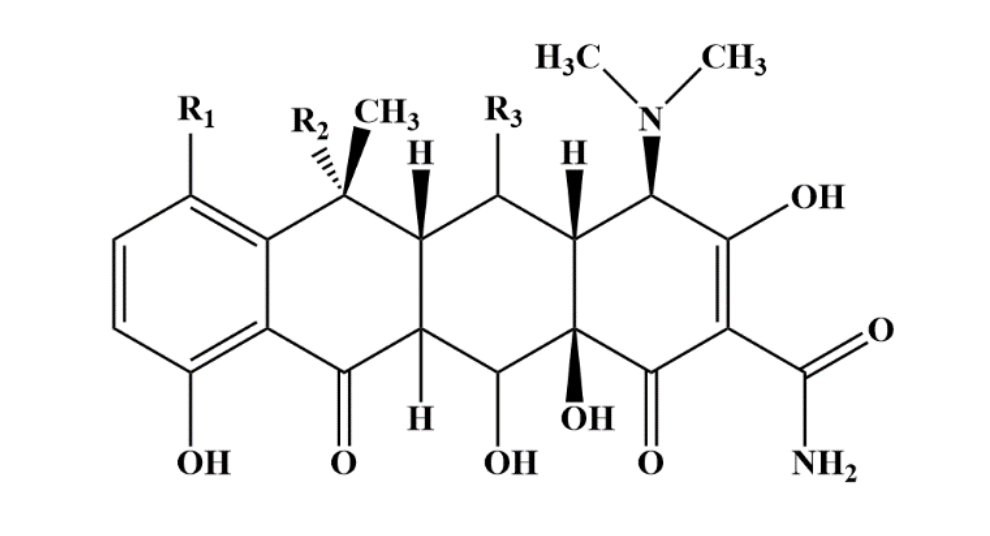 1666142339941466.png 3.png