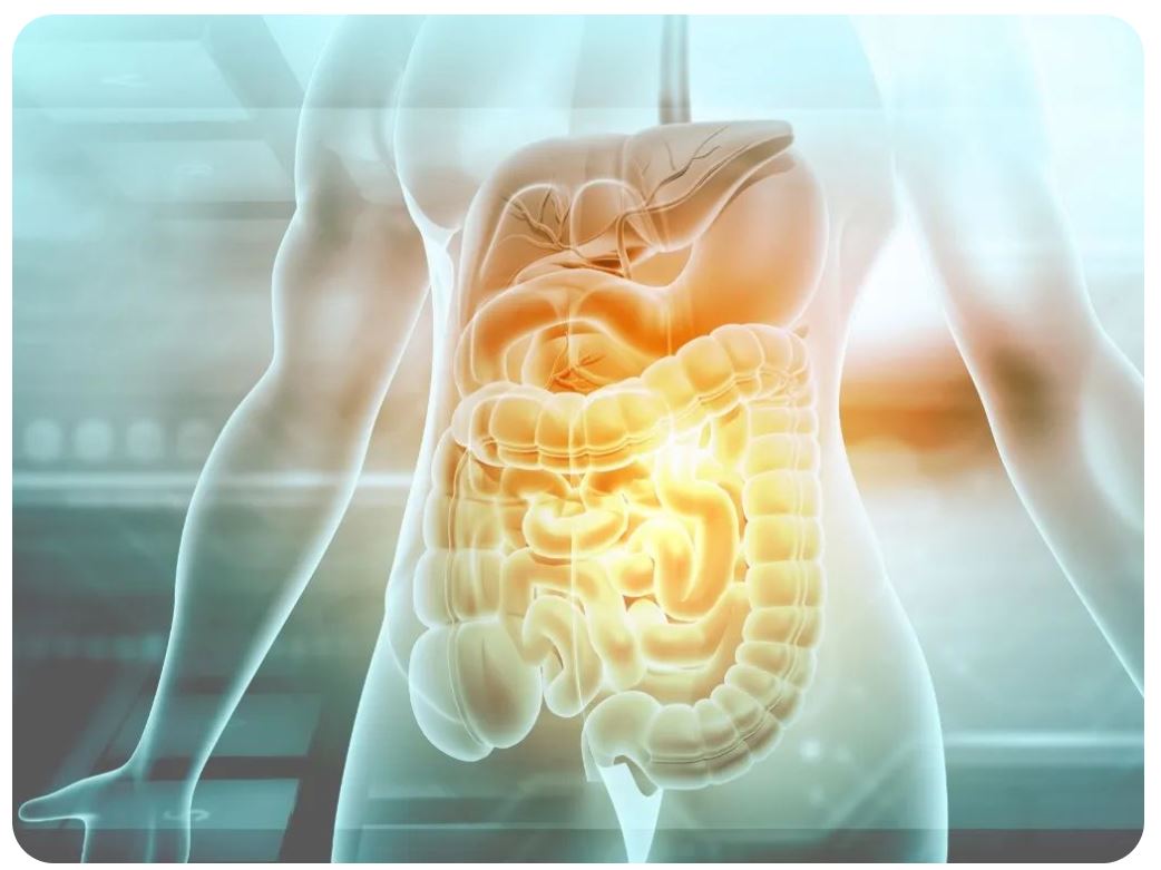 1667183606302288.jpg 3.JPG