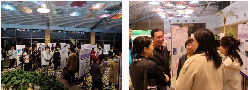 1667267578467498.jpg 9.JPG