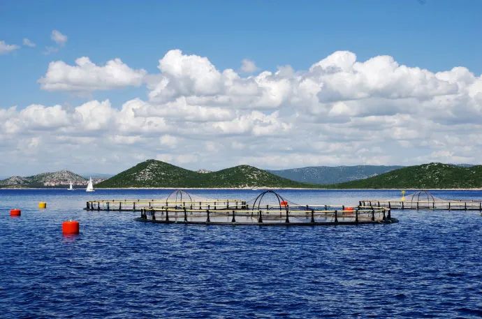 1667353963193645.jpg 1.jpg