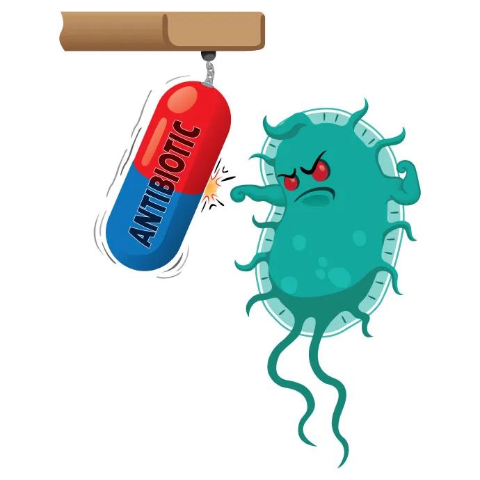 1667353980831318.jpg 4.jpg