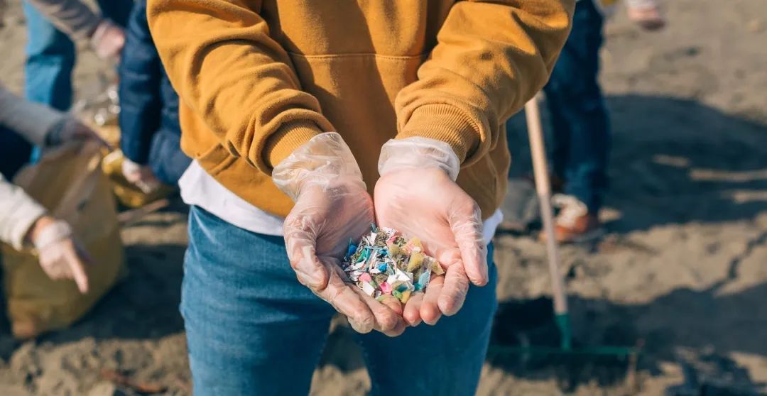 1667527709265515.jpg 4.jpg