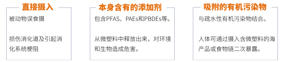 1667527736307949.png 6.png