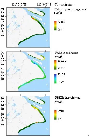 1667527787703161.jpg 10.jpg