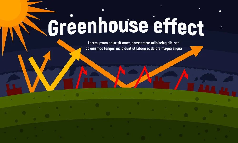 1667527892529868.jpg 3.jpg