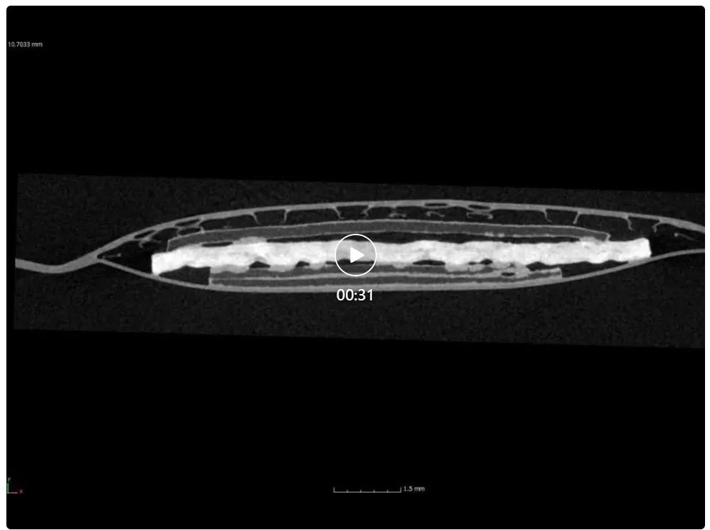 1668474732701128.jpg 5.JPG