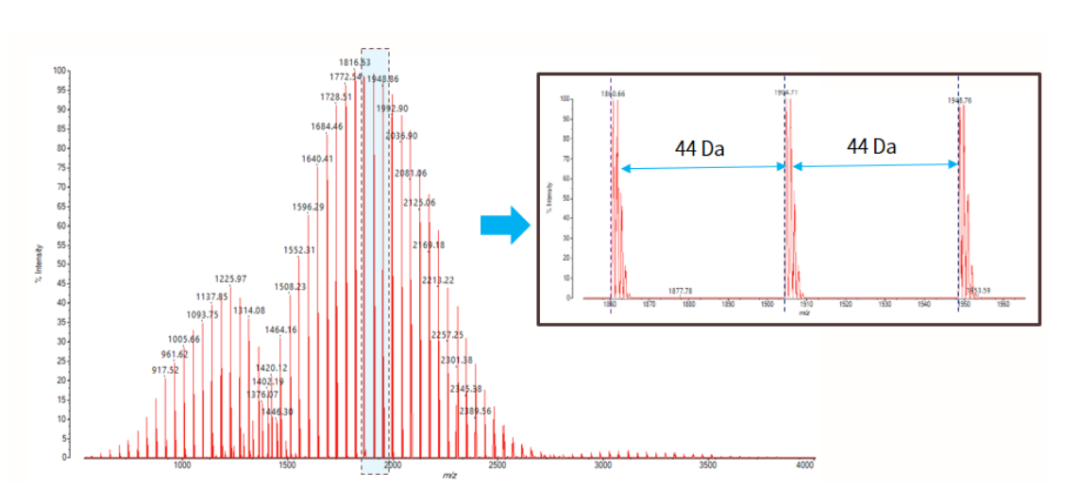 1669945223503843.png 5.png