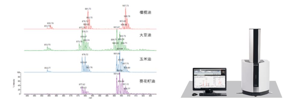 1670811582969651.jpg 6.JPG