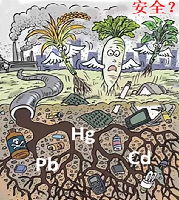 1671157524592639.jpg 2.jpg