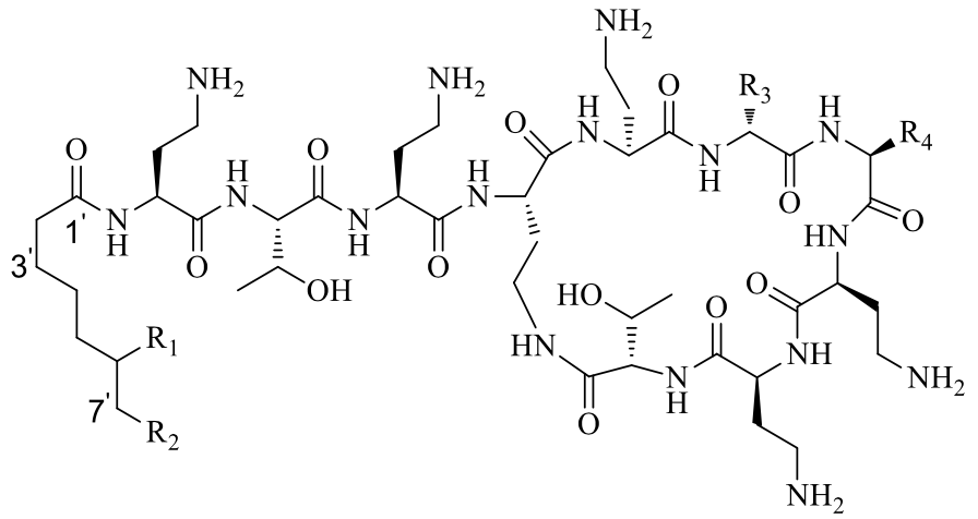 1672040542266718.png 2.png