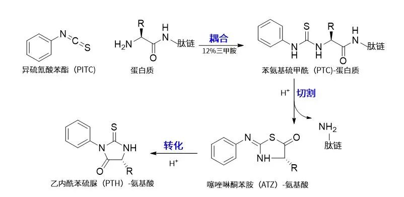 1672040573786770.jpg 5.jpg