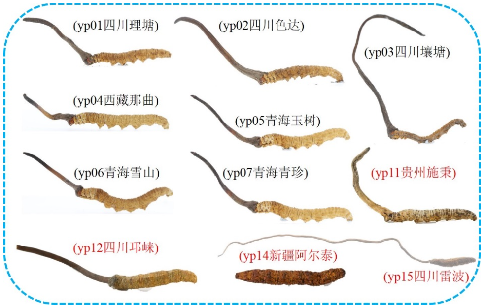 1672297648712836.png 1.png