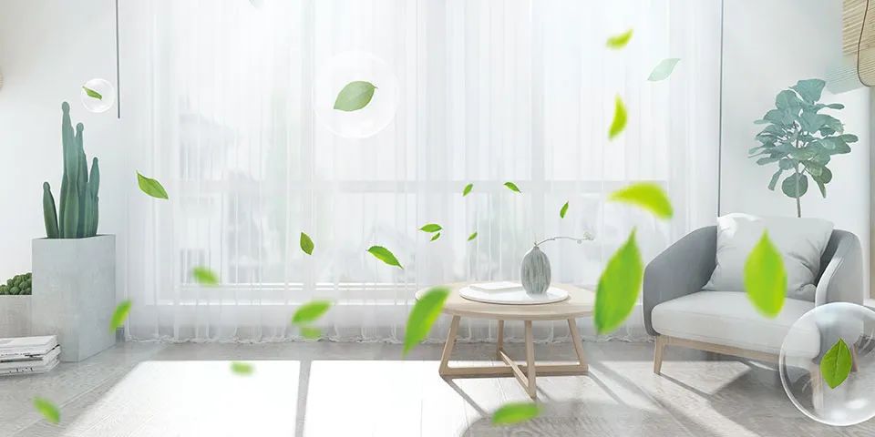 1675132778208248.jpg 1.jpg