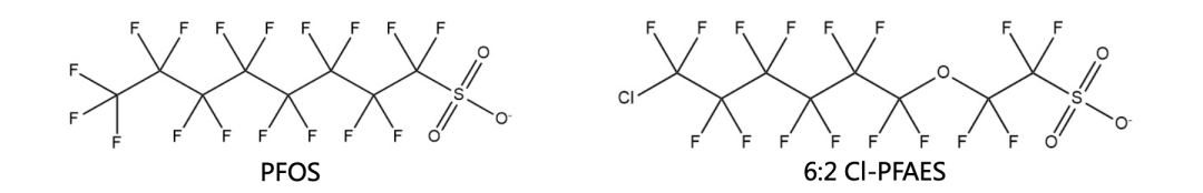 1675305351514443.png 5.png