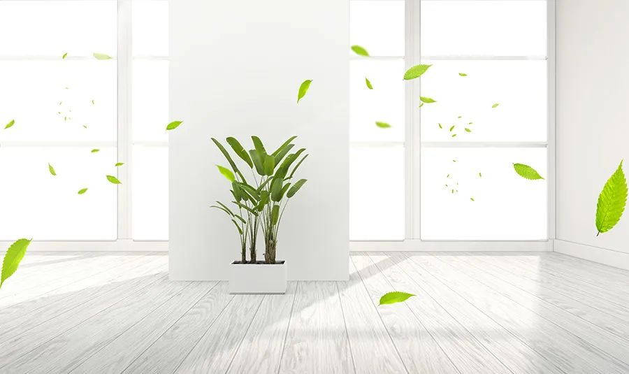 1675736838677297.jpg 1.jpg