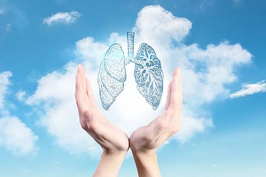 1675736868275139.jpg 4.jpg